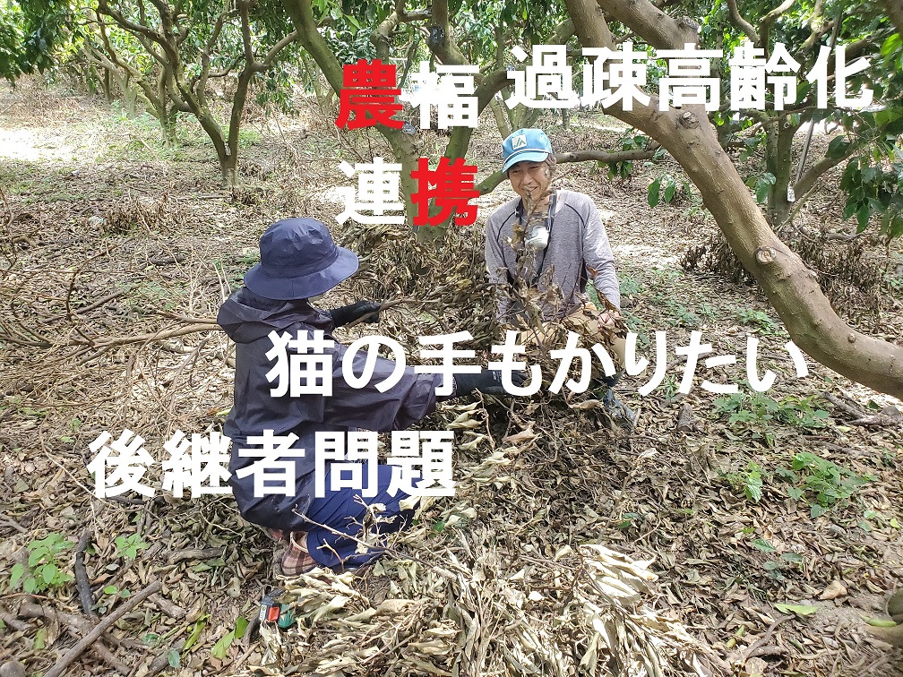 5/29・6/6　農業ジョブコーチ活動記録vol12　農福連携の新しいサービスを模索　剪定枝の処理作業に挑戦してみた