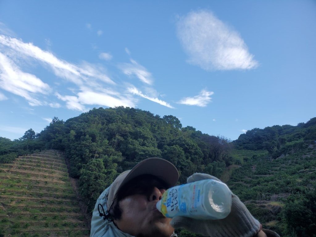 ７月９日　穴虫園地の除草作業